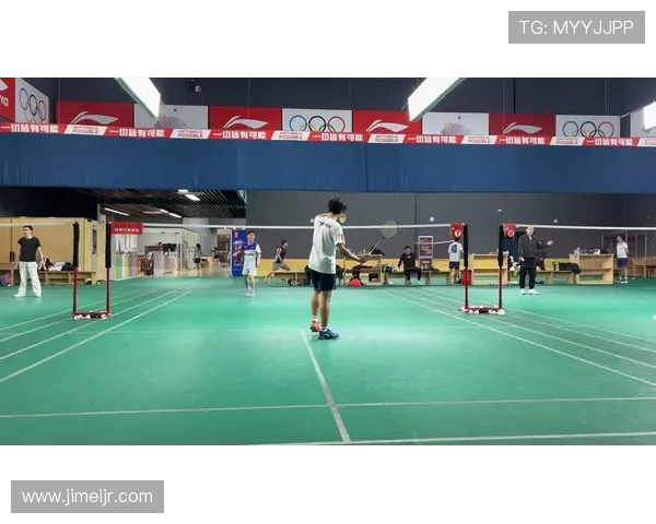 武汉羽毛球队在联赛中的技术表现分析与未来发展展望