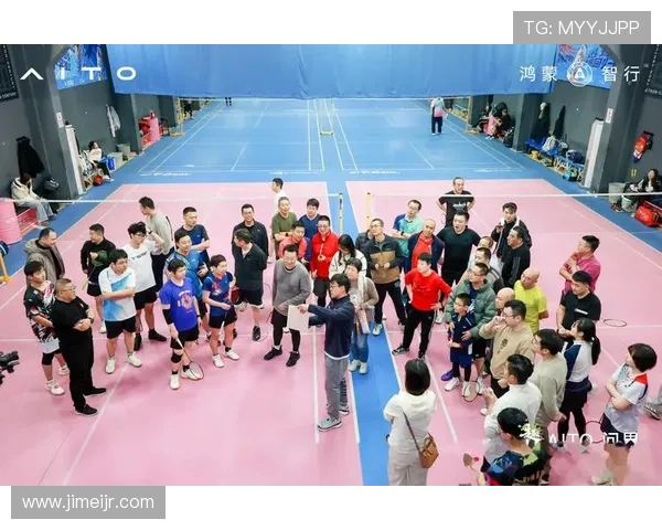 羽毛球战术解析：探讨北京羽毛球队的战术控制与执行体系