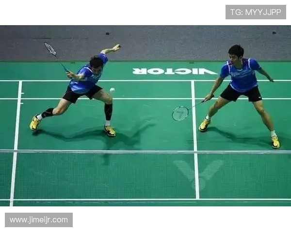 成都羽毛球队区域防守分析与战术得失探讨